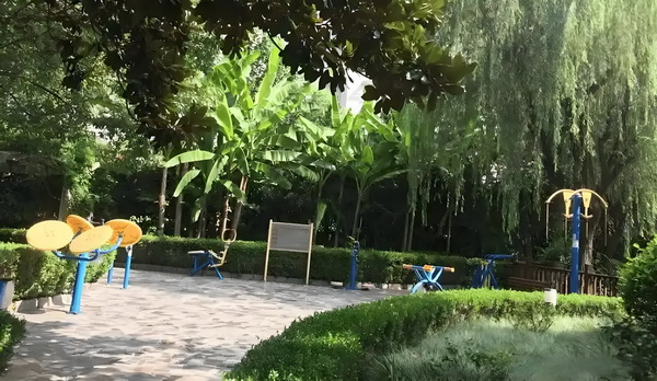 大专生入户深圳条件_《凡人修仙传》开播，展现平凡少年成长之旅 凡人修仙传不吭声站在一旁